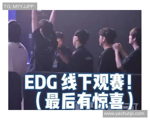 EDG职业联赛逆袭之路揭秘团队拼搏与策略的完美结合