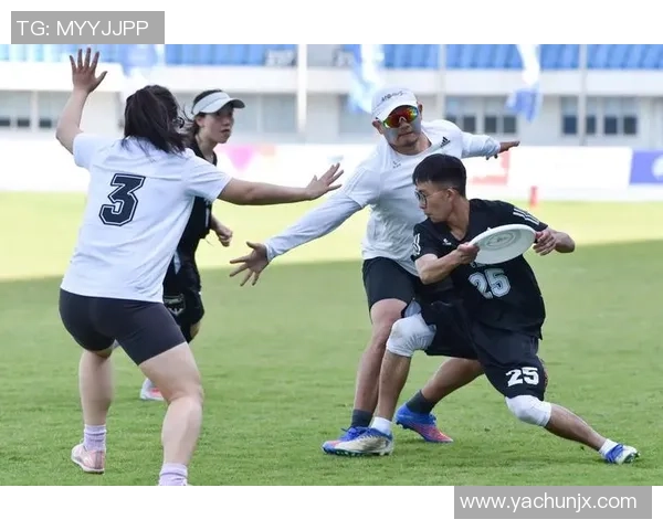 南京飞盘队战术解析与对手策略全面对比分析 南京飞盘队战术解析与对手策略全面对比分析